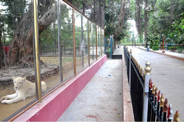 کراچی چڑیا گھر میں فوڈ اسٹریٹ کے ٹینڈر کا انٹی کرپشن کے ساتھ ساتھ صوبائی متحسب اعلیٰ نے نوٹس لے لیا