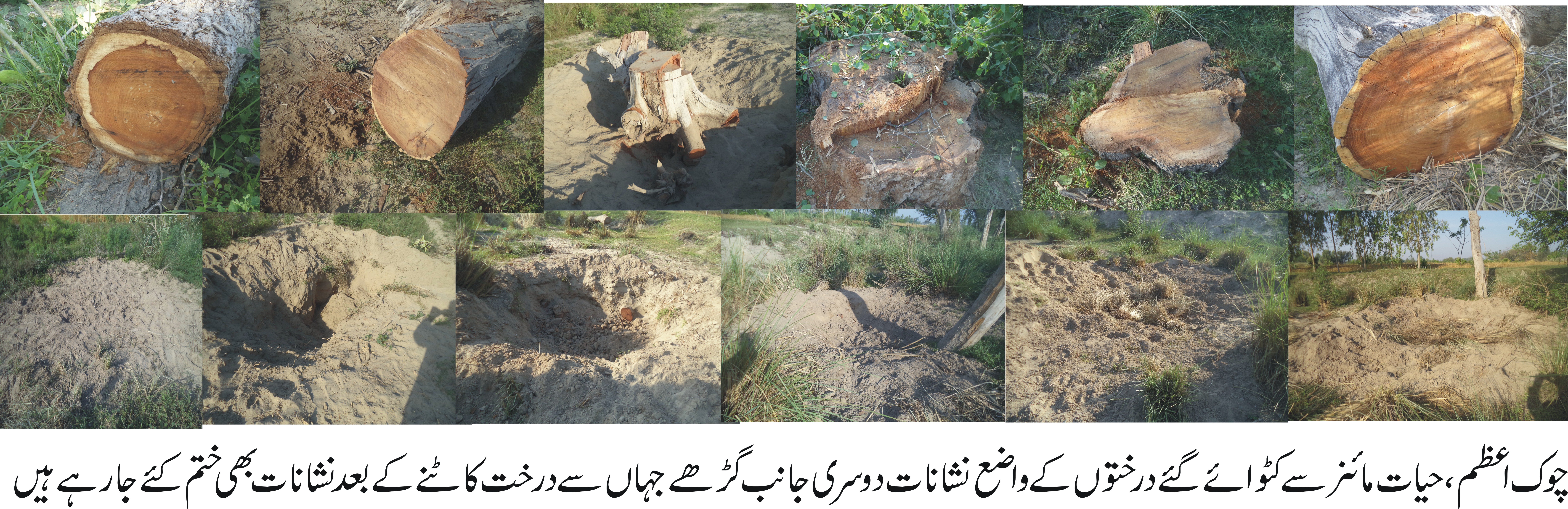 لیہ ڈویژن محکمہ جنگلات کا چارج سنبھالتے جاوید اقبال نے جعلی بل ووچرز جاری کرنے کا انکشاف