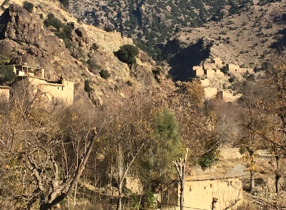 پسماندہ بائیزئی سب ڈویژن