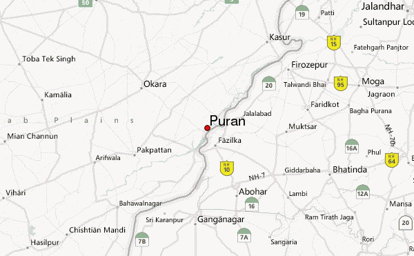 Puran