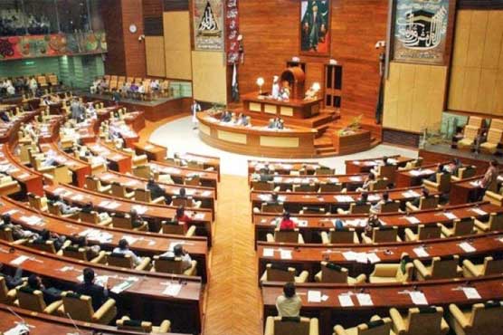 اثاثے ظاہر نہ کرنے والے سیاستدان نااہل ہو سکتے ہیں : قائمہ کمیٹی برائے خزانہ