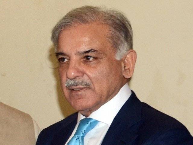 ملک میں ذاتی مفادات کی سیاست کی کوئی گنجائش نہیں، شہباز شریف