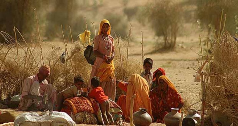 Thar Desert