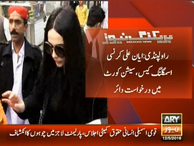 ایان علی کرنسی اسمگلنگ کیس، سیشن کورٹ میں درخواست دائر