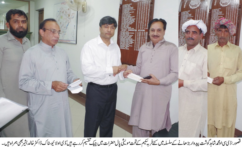 ڈی سی او قصور محمد شاہد نے کٹے فربہ سکیم کے تحت مویشی پال حضرات میں چیک تقسیم کئے