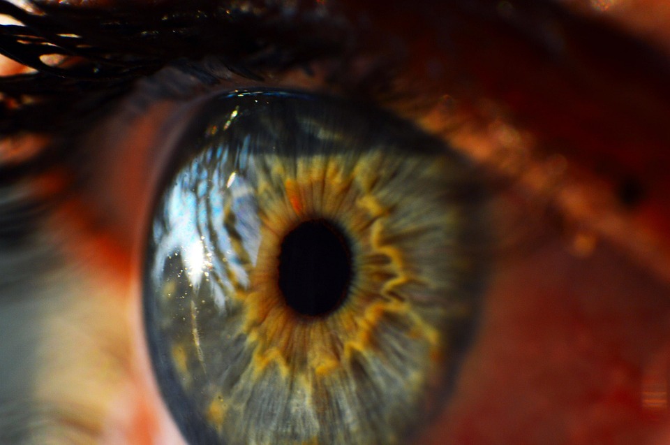 بصارت سے محروم افراد کی بینائی واپس لانے کے لیے جینیاتی طریقہ علاج دریافت