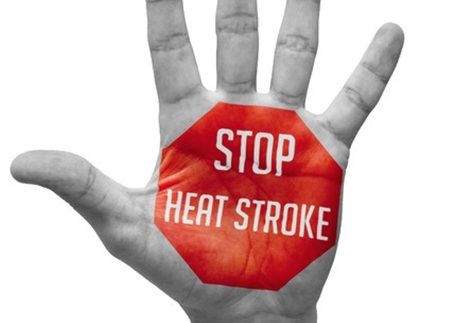 پیس ایمبیسڈر ویلفیئر ایسوسی ایشن نے ضلع انتظامیہ اور بلدیہ کورنگی کے تعاون سے ہیٹ اسٹروک آگاہی واک