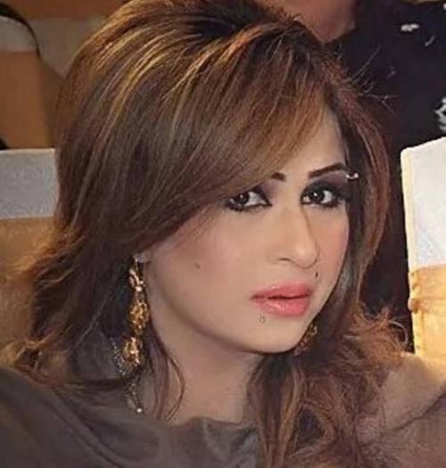 شرجیل خان سے ملاقات نہیں ہوئی  قومی ہیرو کی عزت کرتی ہوں: ہنی شہزادی