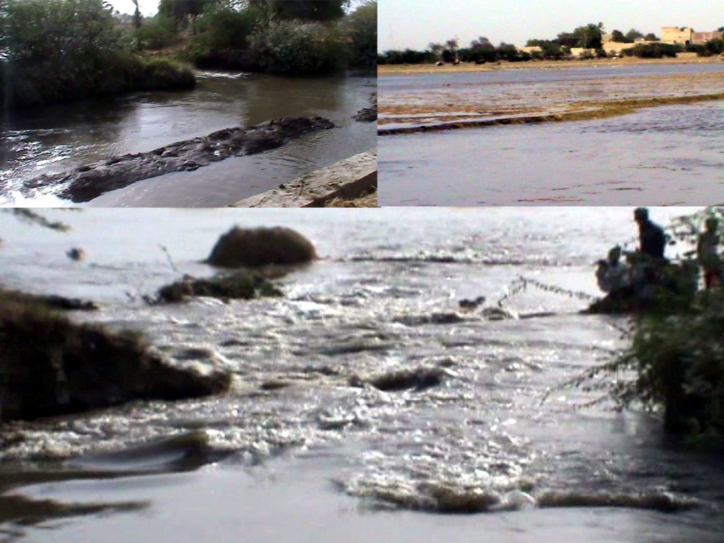 خیرپور ناتھن شاہ میں رائیس کینال کو 50 فٹ شگاف، ہزاروں ایکڑ ایراضی پر مشتمل فصل زیر آب