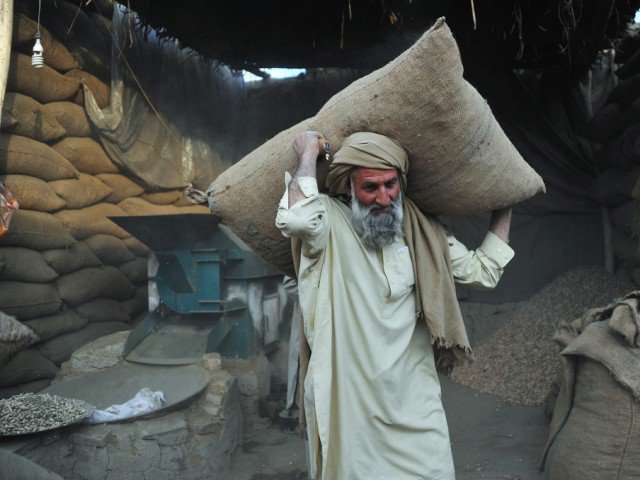 معشیت کے کھیت کو خون پسینے سے سیراب کرنے والوں کا دن