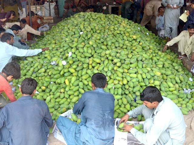 پاکستانی آم کی امریکا میں فروخت کے لیے ای کامرس سہولت متعارف