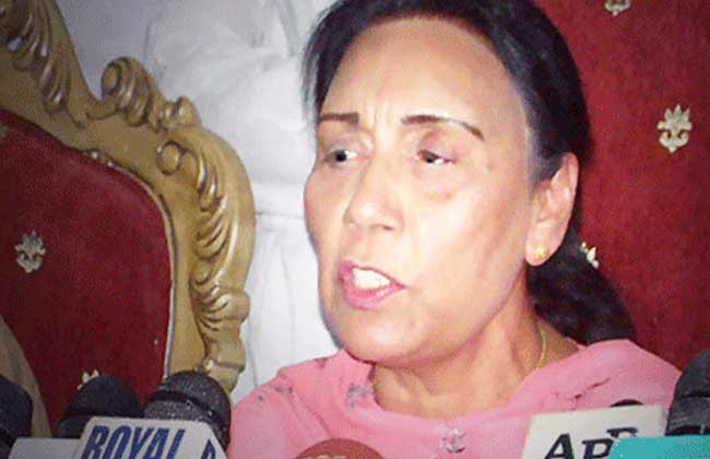 پاکستان کے سیاسی خاندانوں کا مافیا ہر چیز پر قابض ہے۔  ناہید خان