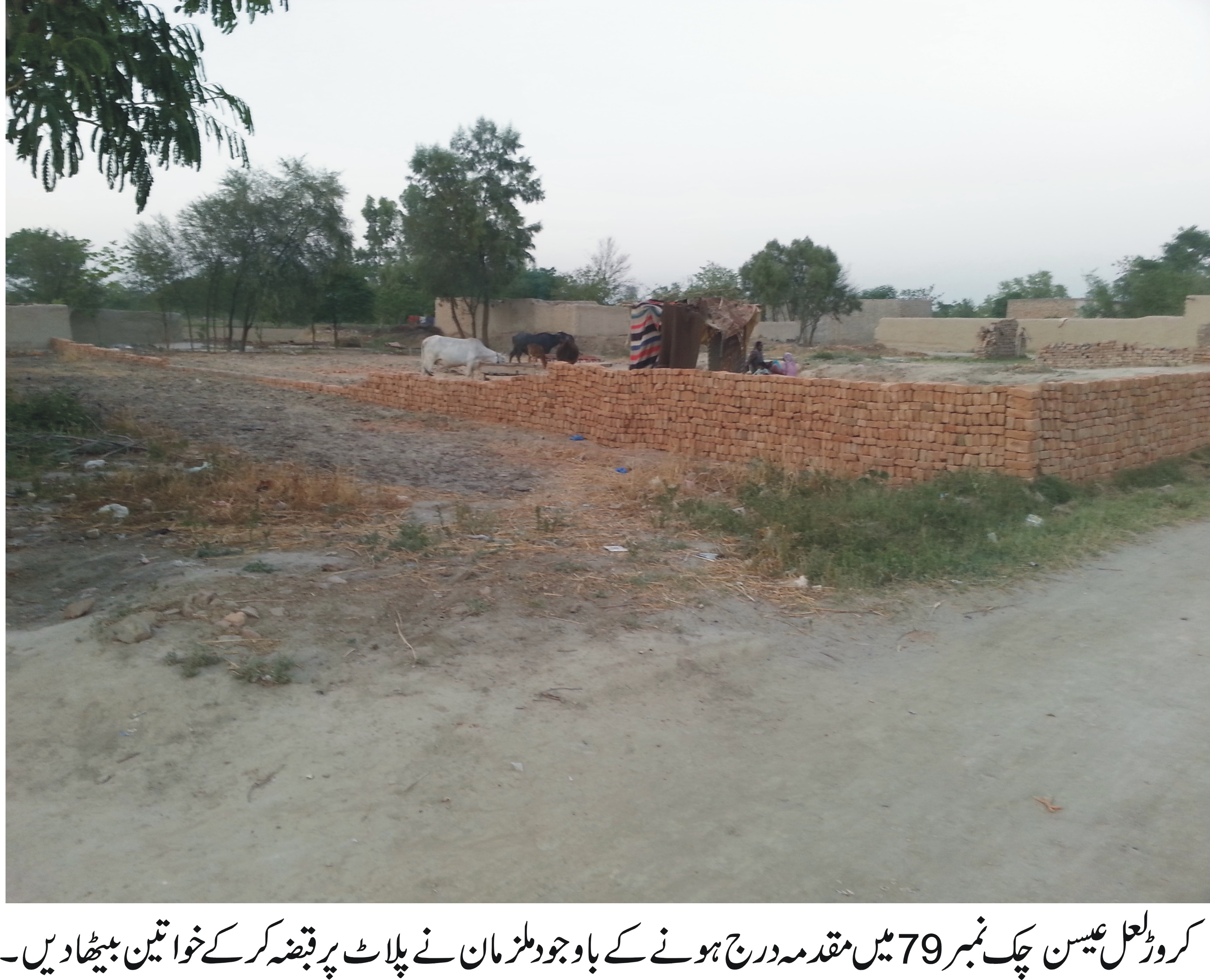 کروڑ لعل عیسن کی خبریں 17/5/2016