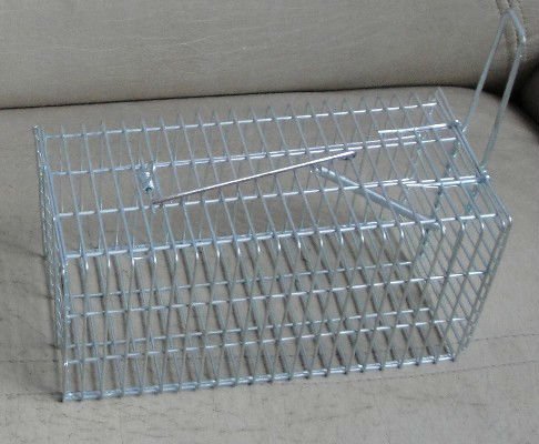 کون جانے کل ہم میں سے کس کی باری ہو؟