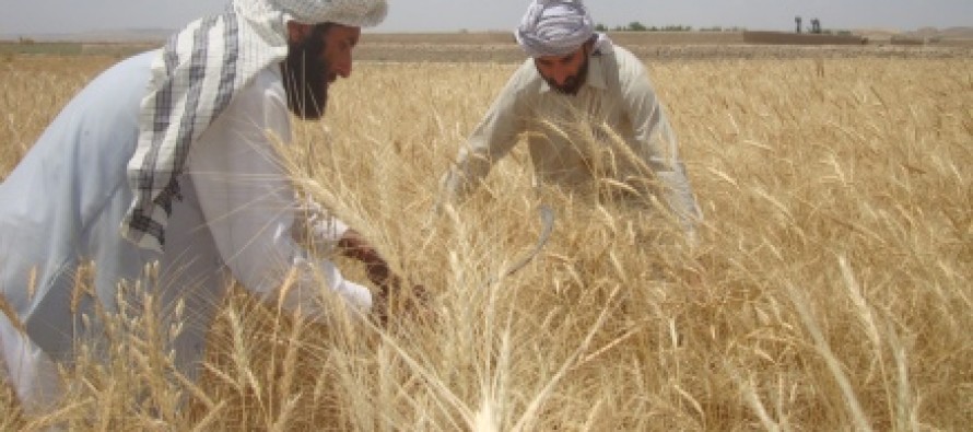 زراعت کو ختم کرنے کی سازش پر کون عمل پیرا ہے ؟