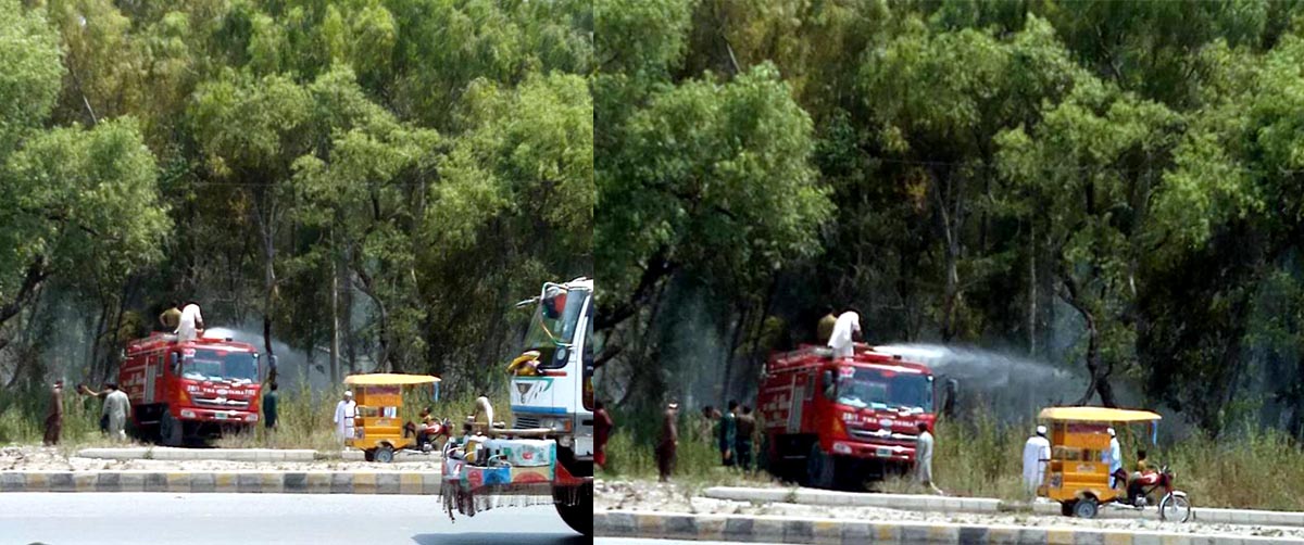 جی ٹی روڈ ٹیکسلا سے متصل جنگل میں آگ بھڑک اٹھی، متعدد تاور درخت آگ کی لپیٹ میں آ گئے