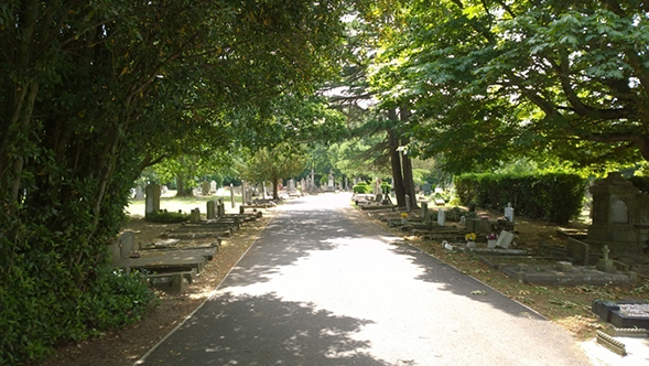 کھلی جنگ ہے اپنی