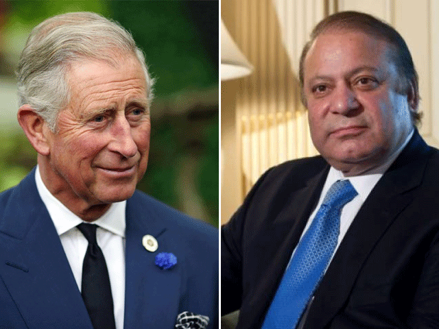 وزیراعظم نوازشریف سے شہزاد چارلس کی ملاقات، خیریت دریافت کی