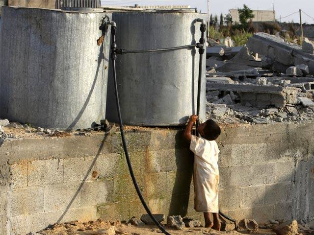 Palestinian