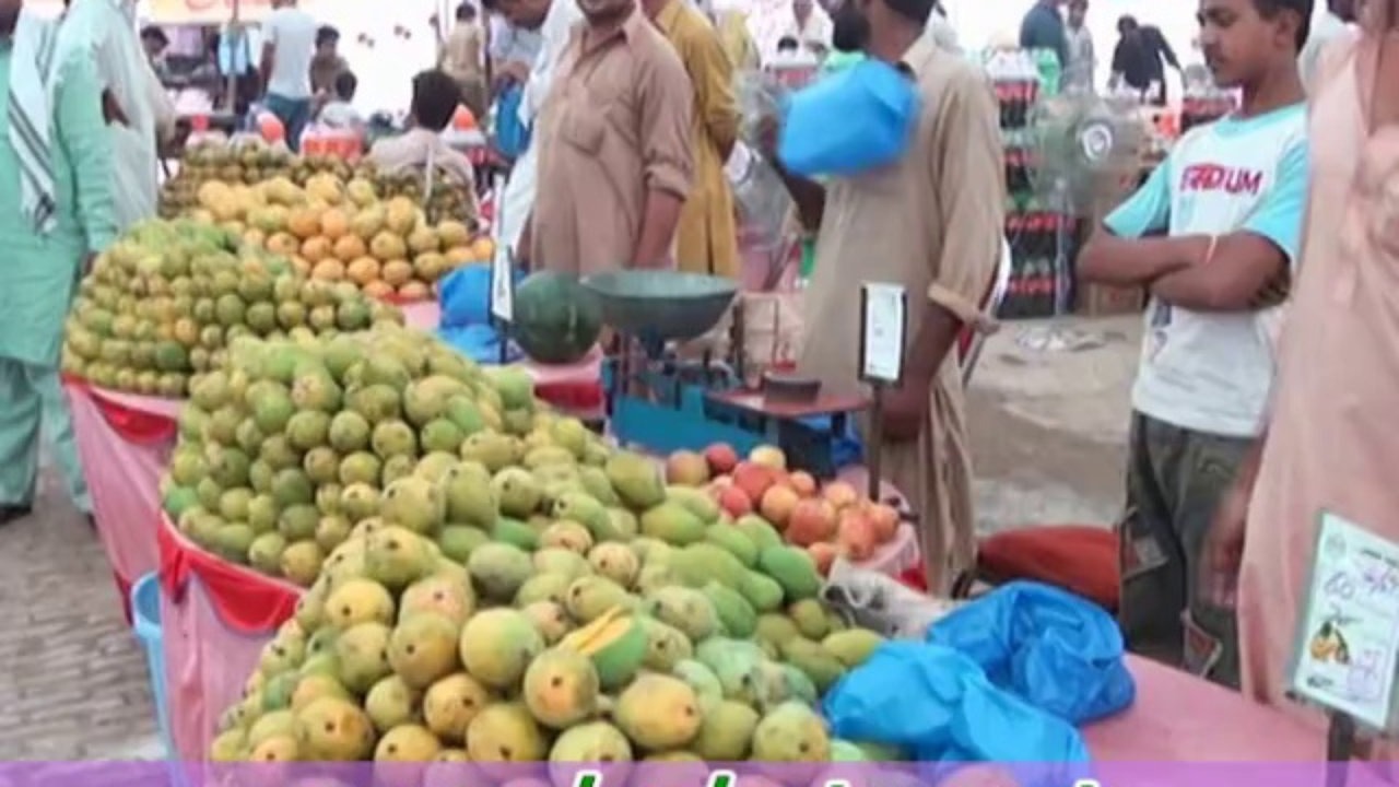 تلہار کی خبریں 25/6/2016