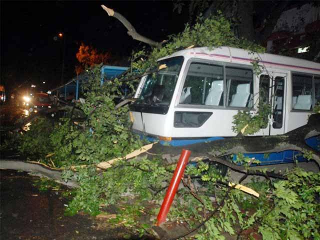 راولپنڈی، اسلام آباد اور پشاور میں آندھی کے ساتھ بارش، 13 افراد جاں بحق اور متعدد زخمی