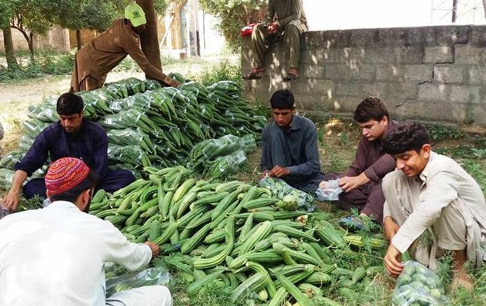 مہمند ایجنسی کی خبریں 19/6/2016