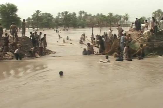 پنوں عاقل: کورائی کینال میں شگاف 40 فٹ چوڑا،  فصلیں زیر آب