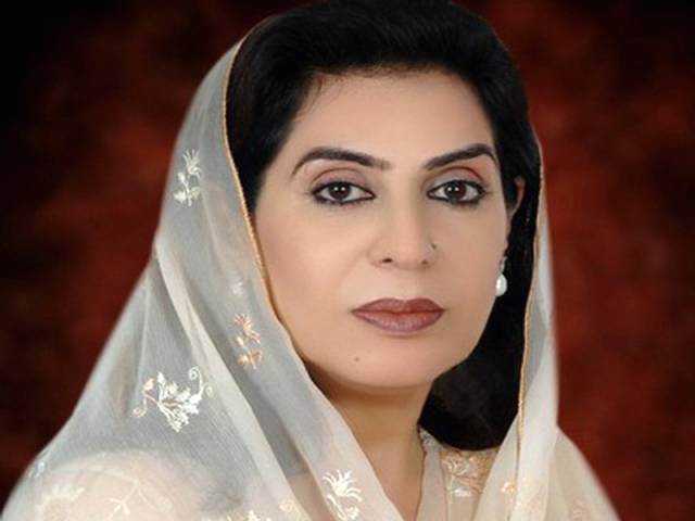 پیپلزپارٹی کی درخواست پر فہمیدہ مرزا قائمہ کمیٹی خارجہ امور سے فارغ؛ نفیسہ شاہ ممبر بن گئیں