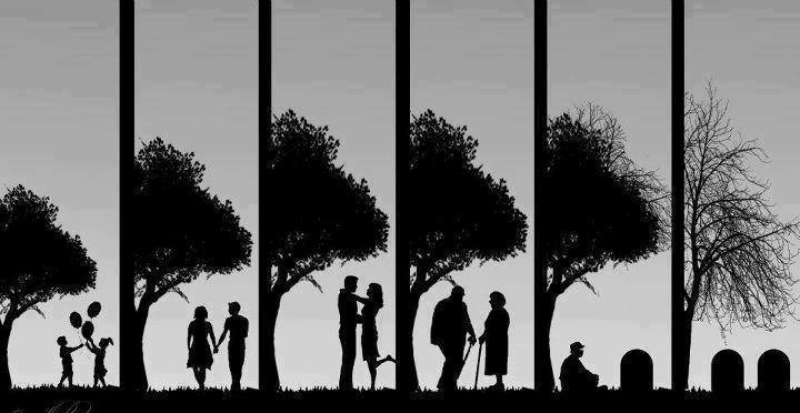 فلسفہ زندگی