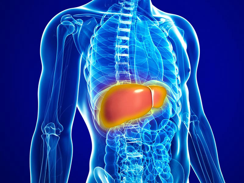 جگر کے امراض کی چند علامات