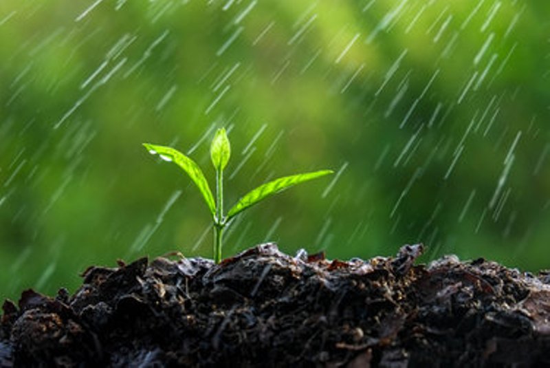 بارش کے ذریعے ڈرپ ایرگشن