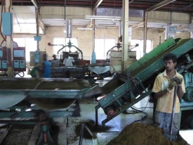 اصل معاشی حکمران؟ اشیائے خوردنی مل مالکان