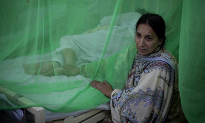 کانگو بخار جان لیوا بخار ہے