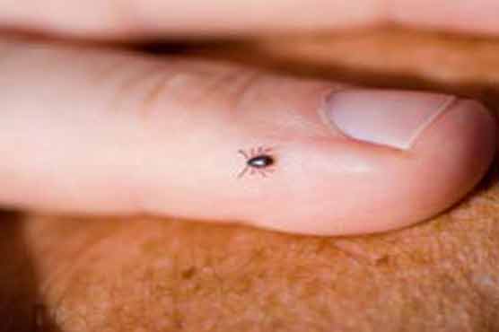 خطرناک کانگو وائرس سے احتیاط