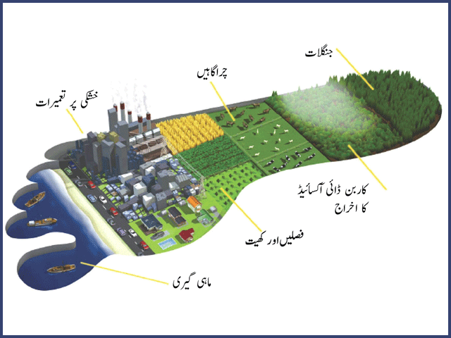 انسان نے سال بھر کے قدرتی وسائل صرف 7 ماہ میں خرچ کر دیئے، رپورٹ