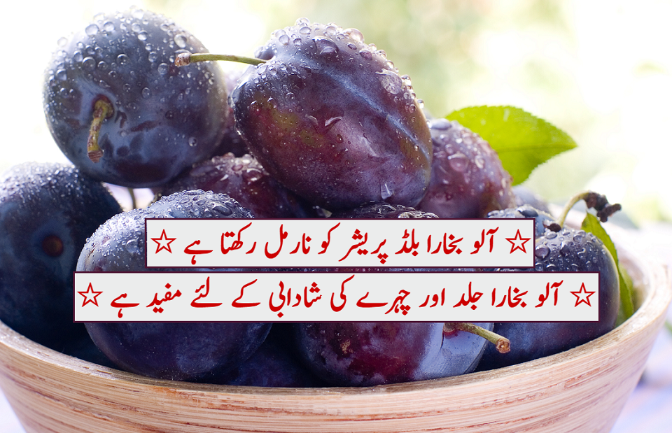 آلو بخارا ذائقے دار پھل بھی ، علاج بھی