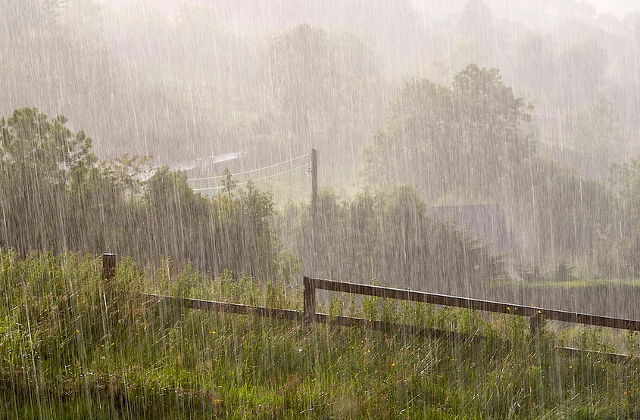 کچھ روز جاری گرمی اور حبس کی لہر کے بعد تلہار و مضافات میں گرج چمک کیساتھ موسلادھار بارش