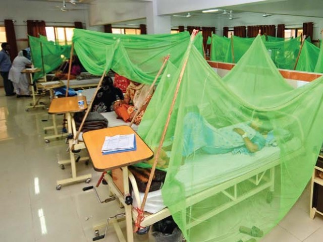 Dengue Datient