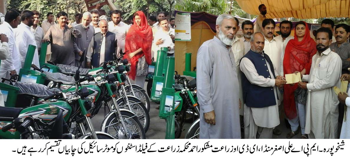 زراعت ملک کی معیشت میں ریڑھ کی ہڈی کی حیثیت رکھتی ہے۔ علی اصغر منڈا