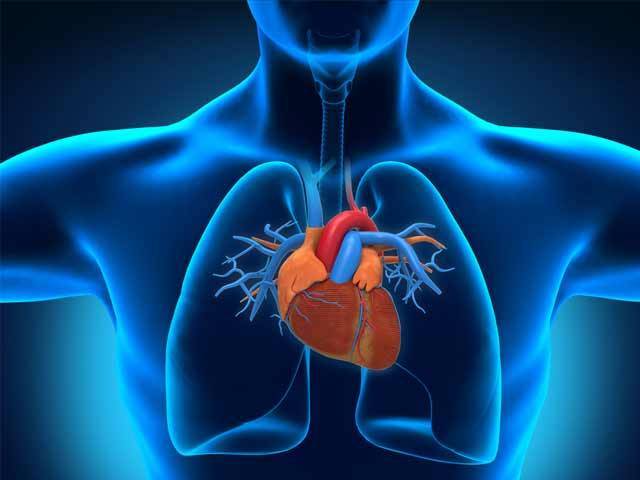 دل کے دورے سے آگاہ کرنے والا الیکٹرک سینسر تیار