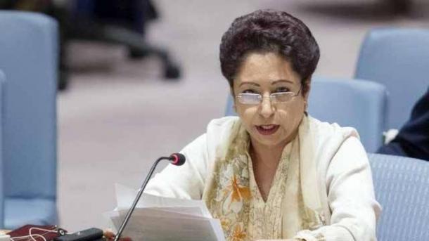 خطے میں نیوکلئیر پروگرام پر یکطرفہ پابندی نہیں لگائی جا سکتی ہے، ملیحہ لودھی