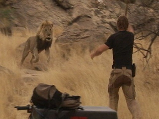 عقل جیت گئی طاقت کے گھمنڈ سے