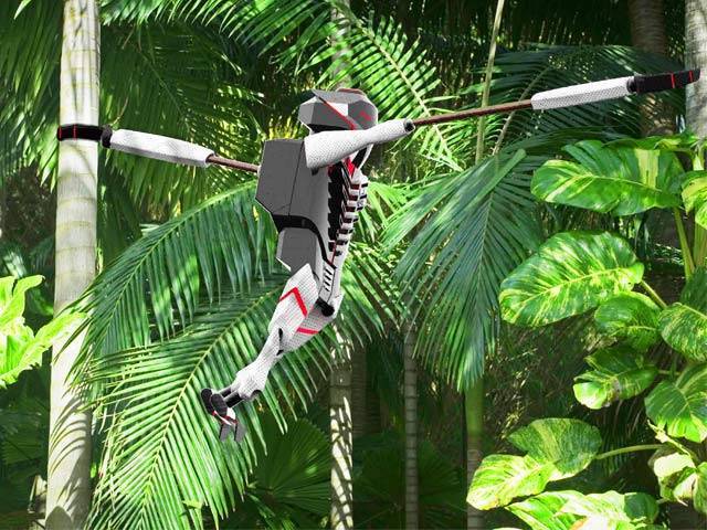 Monkey Robot