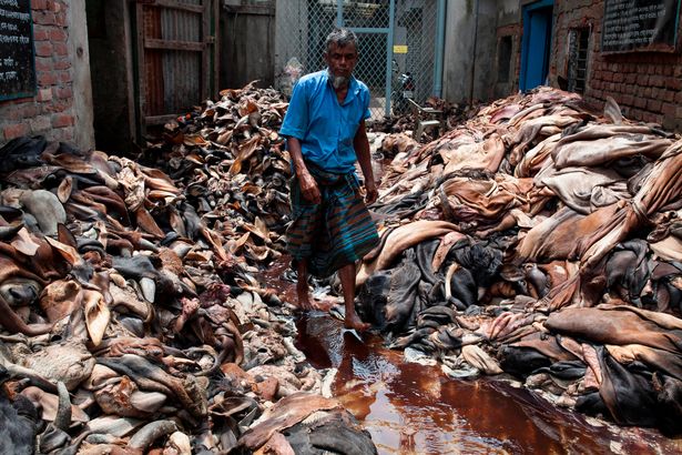 عید الاضحی پر قربانی کی کھالیں الخدمت کو دے کر دکھی انسانیت کا سہارا بنیں، منعم ظفر خان