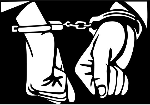 امریکی صحافی ترکی میں زیر حراست