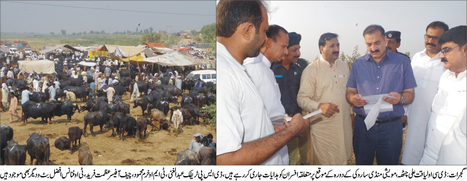 گجرات کی خبروں کی تصویری جھلکیاں