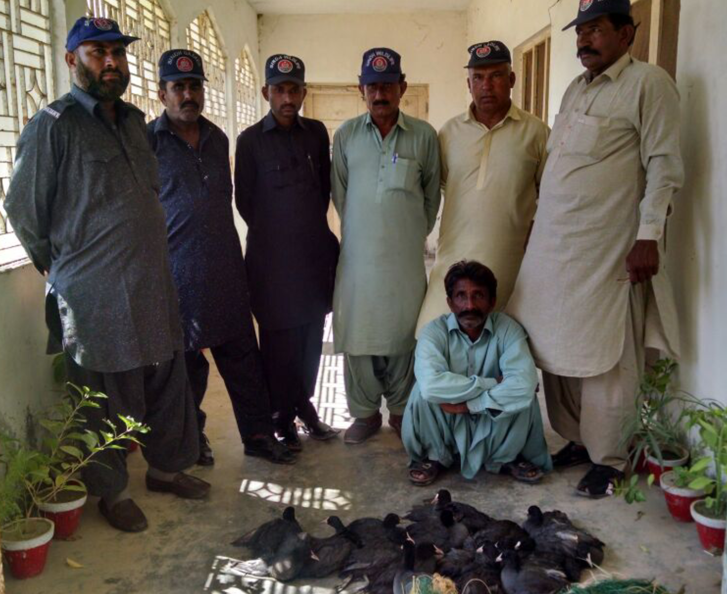 محکمہ وائلڈ لائف نے ساحلی علاقوں میں کارروائی کرکے نایاب آبی پرندوں کے شکاری کو گرفتار کر لیا