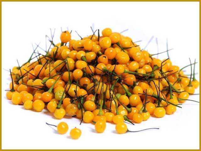 25 لاکھ روپے فی کلو گرام دنیا کی سب سے مہنگی مرچ