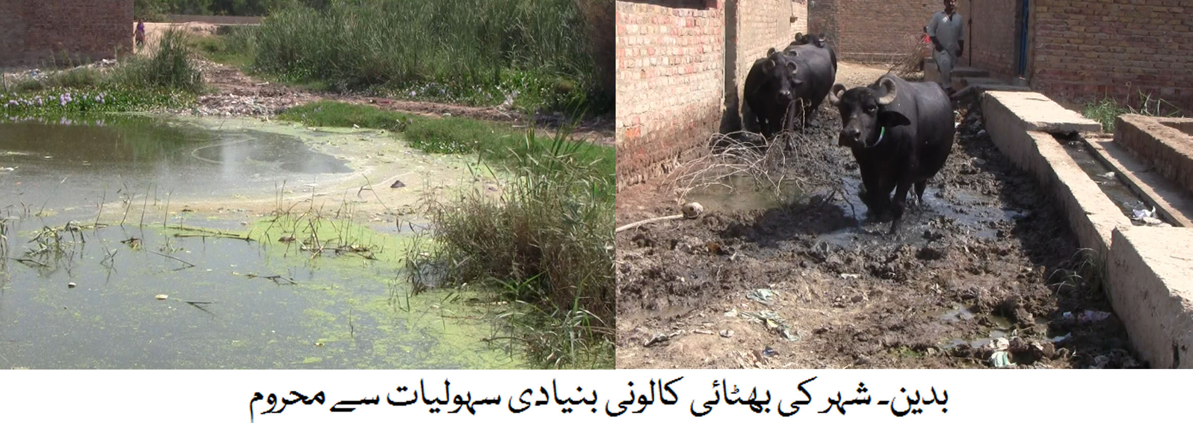 بدین شہر میں بھٹائی کالونی ضلعی انتظامیہ کی آنکھوں سے اوجھل