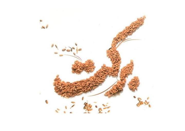 برکت کیا ہے؟